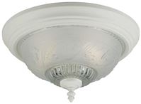 Westinghouse 66162 Ceiling Light Fixture, 60 W Lamp 