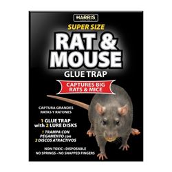 Harris BLKRAT-1 Rat and Mouse Glue Trap 
