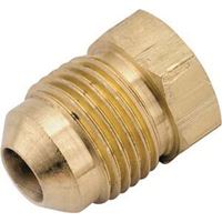 WATTS 39-P Series 39-P-8 Pipe Plug, 1/2 in, Flare, Brass 5 Pack 