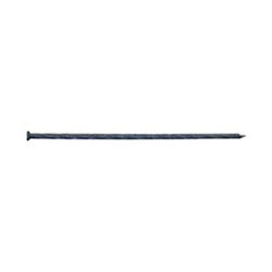 ProFIT 0033245 Finishing Nail, 6 in L, Carbon Steel, Hot-Dipped Galvanized, Flat Head, Spiral Shank, 5 lb 