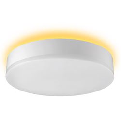 ETI Color Preference Series 56546103 Flushmount with Nightlight, 120 V, LED Lamp, 900 Lumens 