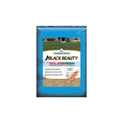 Jonathan Green Black Beauty 10514 Heat & Drought Grass Seed, 3 lb Bag 