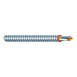 Southwire Duraclad 55274901 Armored Cable, 12 AWG Cable, 2 -Conductor, Copper Conductor, THHN/THWN Insulation 