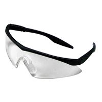 MSA 10049188 Safety Glasses, Anti-Fog Lens, Black Frame 