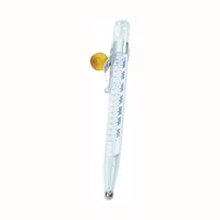 Taylor 5978 Candy/Deep Fry Thermometer, 100 to 400 deg F, Analog Display, White 