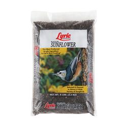 Lyric 2647419 Bird Seed, Sunflower, 5 lb Bag 