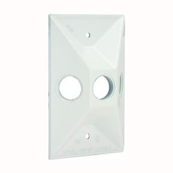 Hubbell 5189-1 Cluster Cover, 4-19/32 in L, 2-27/32 in W, Rectangular, Zinc, White, Powder-Coated 