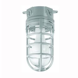 Carlon MCL150C Outdoor Light, 120 VAC, 150 W, Incandescent Lamp, Die-Cast Aluminum Fixture 